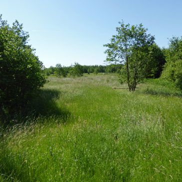 Soestpolder (Friesland)